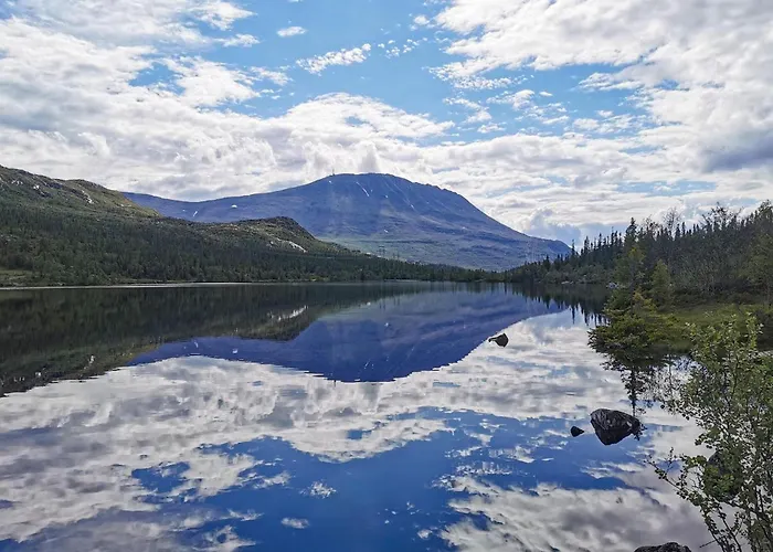 Dom wakacyjny Stunning In With Sauna